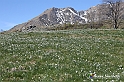VBS_8771