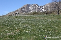 VBS_8772