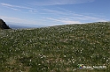 VBS_8774