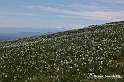 VBS_8775