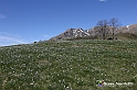 VBS_8777