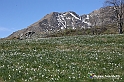 VBS_8778