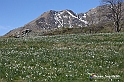 VBS_8780