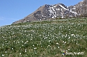VBS_8787