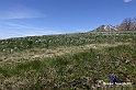 VBS_8789