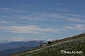 VBS_8797