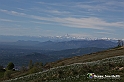 VBS_8799