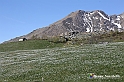 VBS_8800