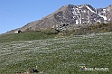 VBS_8801