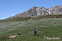VBS_8804