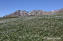 VBS_8807