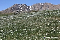 VBS_8808