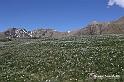 VBS_8809