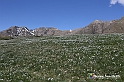 VBS_8810