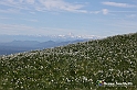 VBS_8813