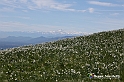 VBS_8814
