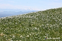 VBS_8815