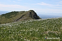 VBS_8816
