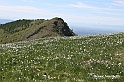 VBS_8817