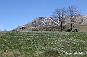 VBS_8818