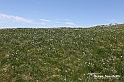 VBS_8819