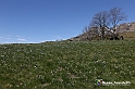 VBS_8820
