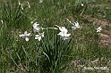 VBS_8823