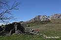 VBS_8829