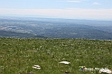 VBS_8835