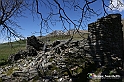 VBS_8837