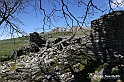 VBS_8838