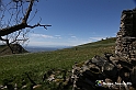VBS_8844