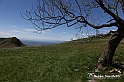 VBS_8846