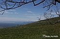 VBS_8847
