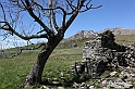 VBS_8849