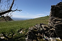 VBS_8856