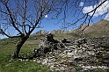 VBS_8862