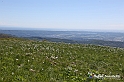 VBS_8864