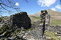 VBS_8868