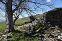 VBS_8869