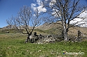 VBS_8879