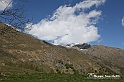 VBS_8882