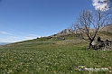 VBS_8886