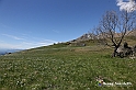 VBS_8888