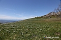 VBS_8890