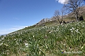 VBS_8895