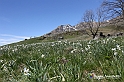 VBS_8897