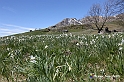 VBS_8899