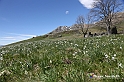 VBS_8901