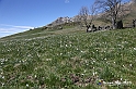 VBS_8905
